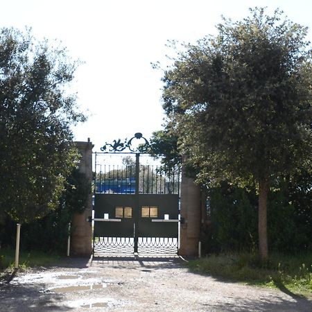 ליבורנו Villa Anselmi - Arteindiretta מראה חיצוני תמונה